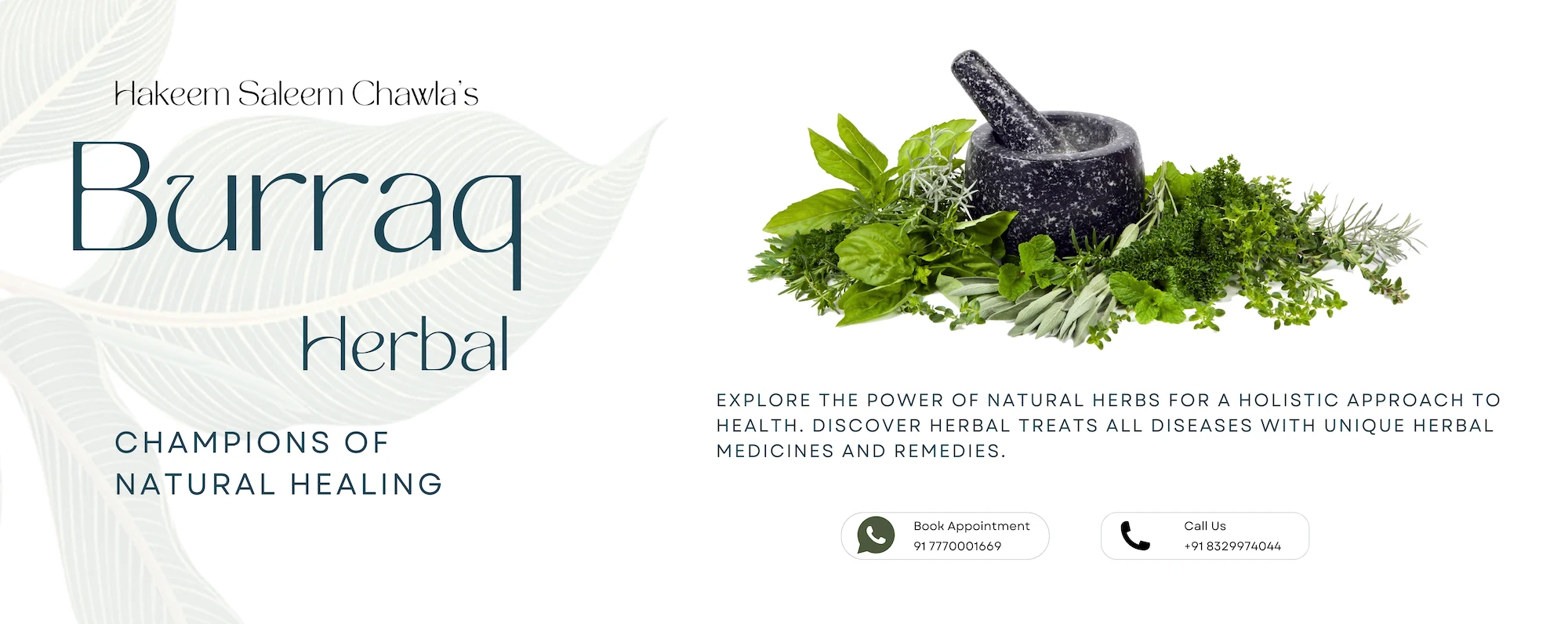 Herbal Medicine Expert Consultation